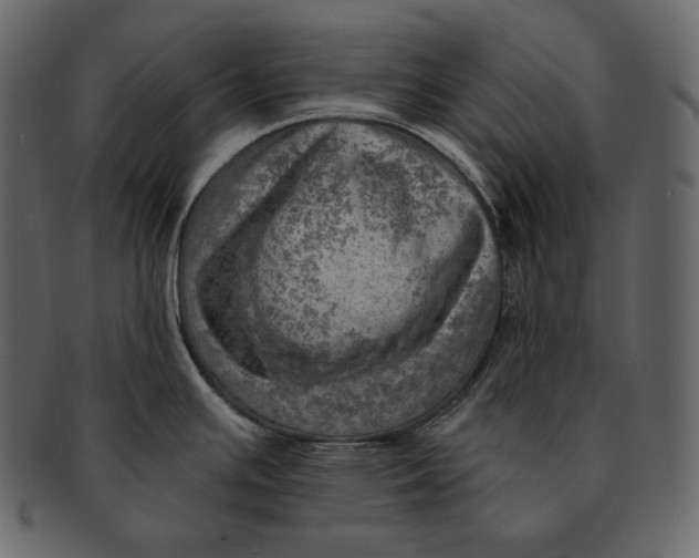 X0000092301391200710051212