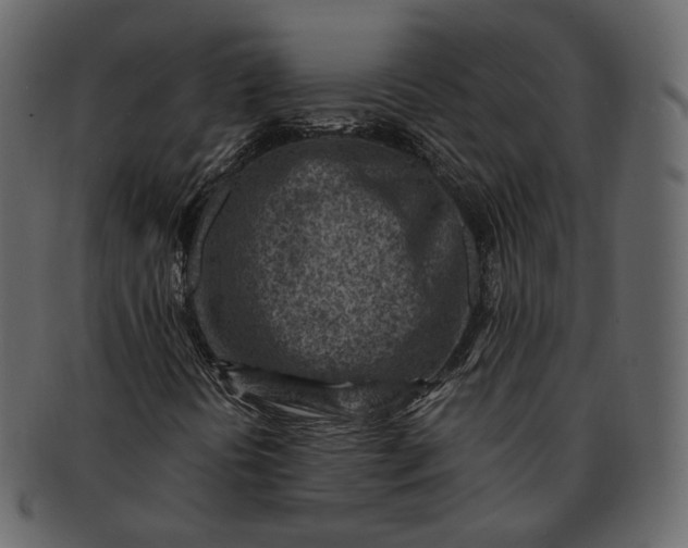 X0000092301394200710051211