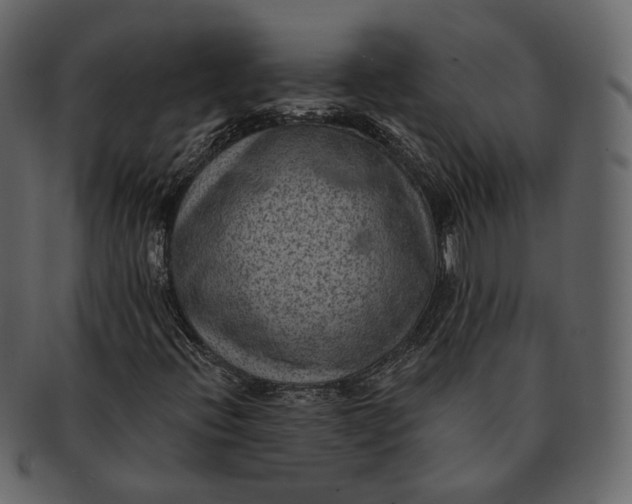 X0000092301396200710051211