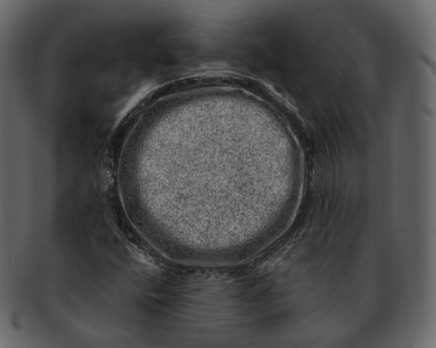 X0000092301400200710051211