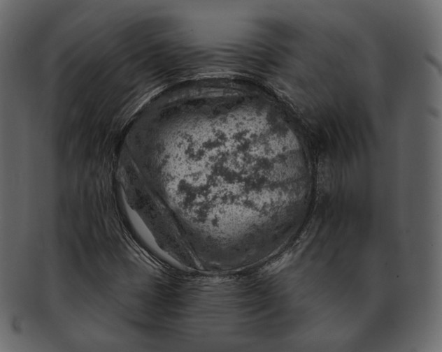 X0000092301401200710051211