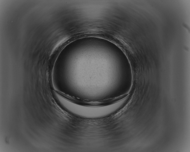 X0000092301402200710051211