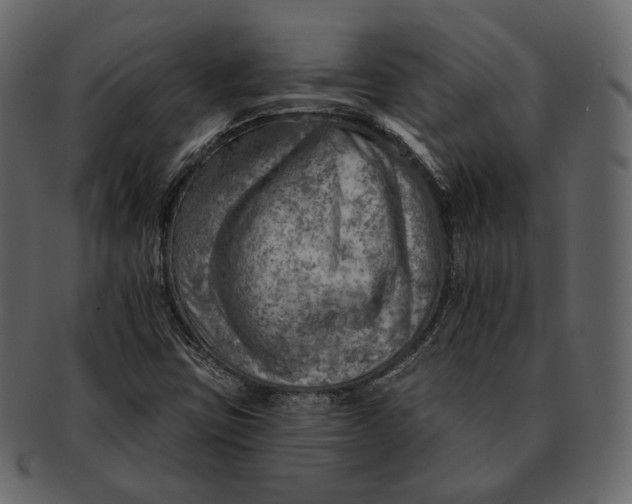 X0000092301403200710051211