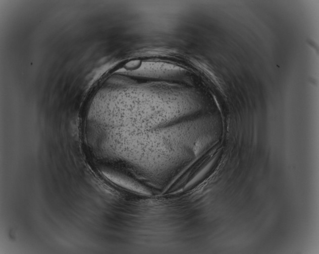 X0000092301404200710051211