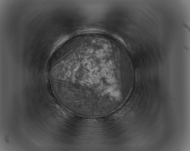 X0000092301405200710051211