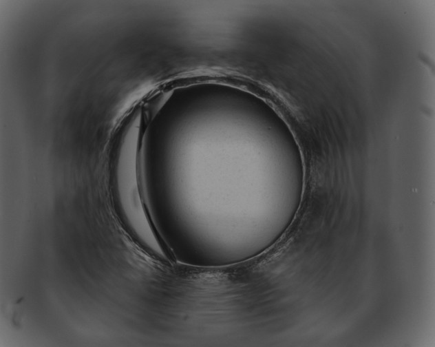 X0000092301406200710051211