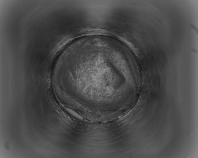 X0000092301407200710051211