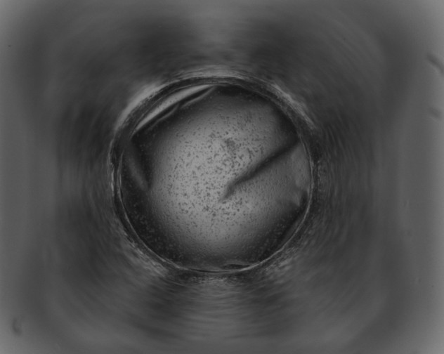 X0000092301408200710051211