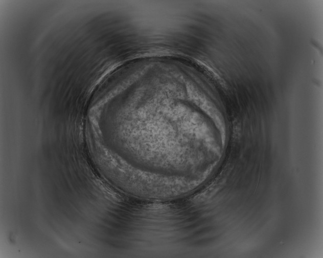 X0000092301409200710051211