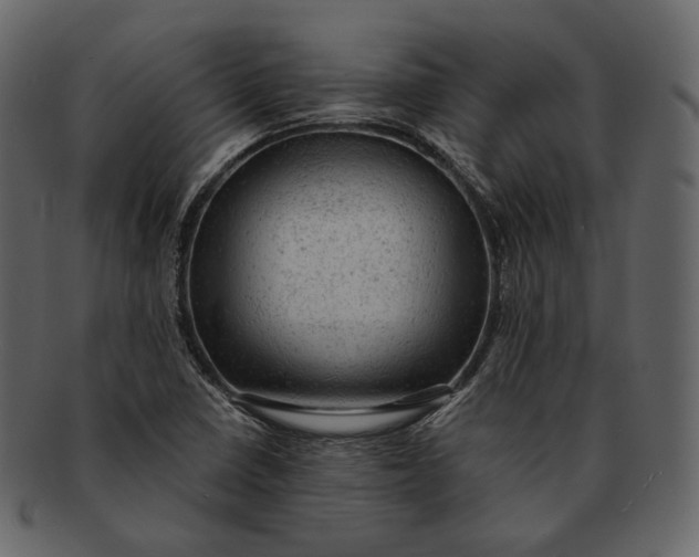 X0000092301410200710051211