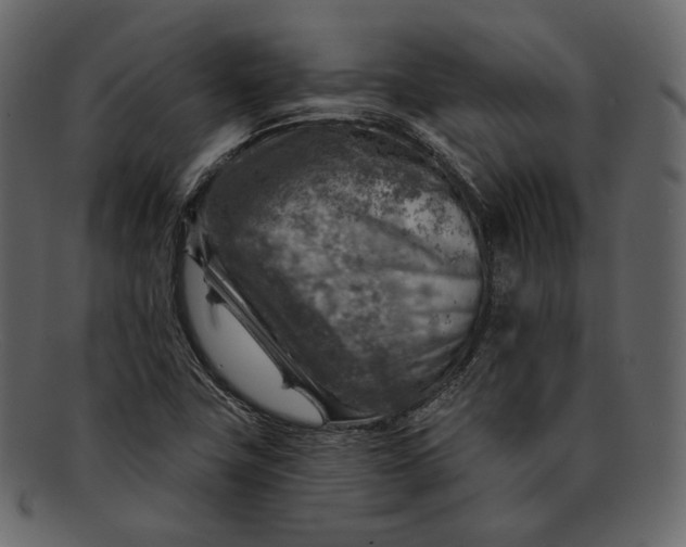 X0000092301411200710051211