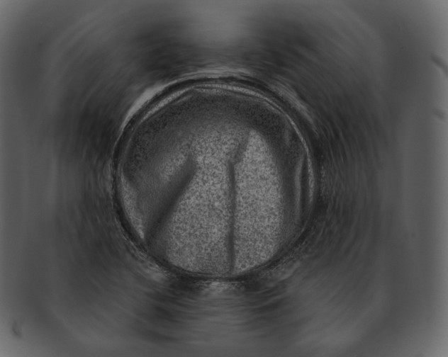 X0000092301412200710051211