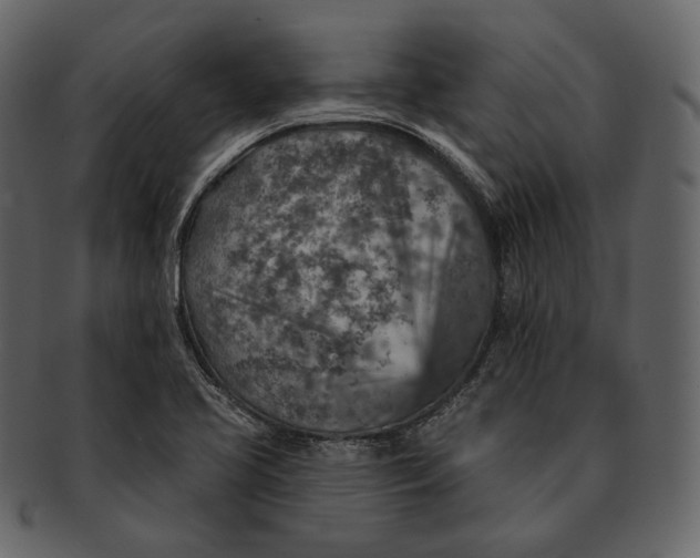 X0000092301413200710051212