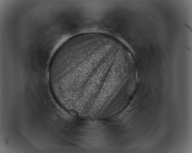 X0000092301416200710051212