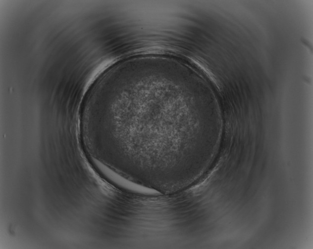 X0000092301418200710051212