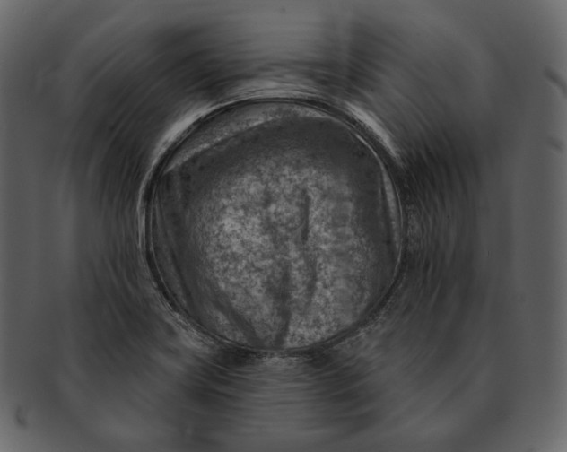 X0000092301419200710051212