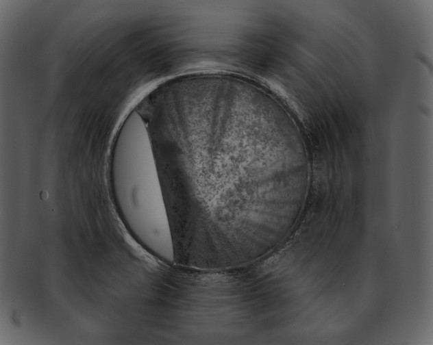 X0000092301421200710051212