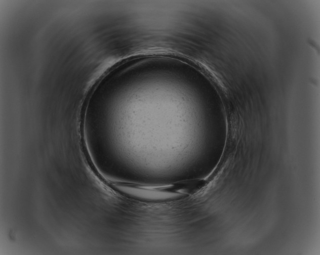 X0000092301422200710051212