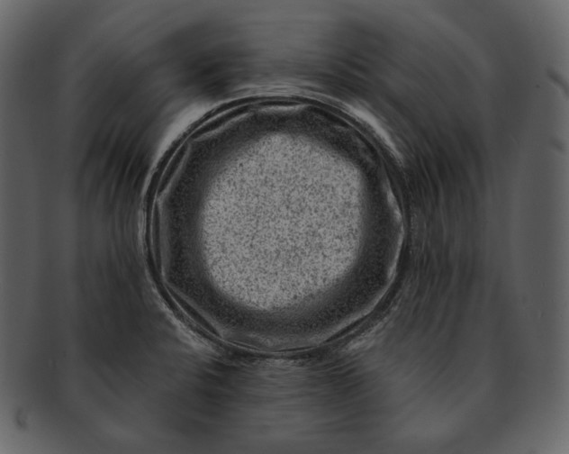 X0000092301424200710051212