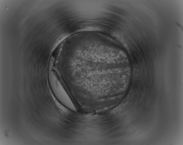 X0000092301425200710051212