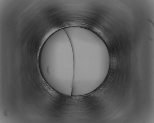 X0000092301427200710051212