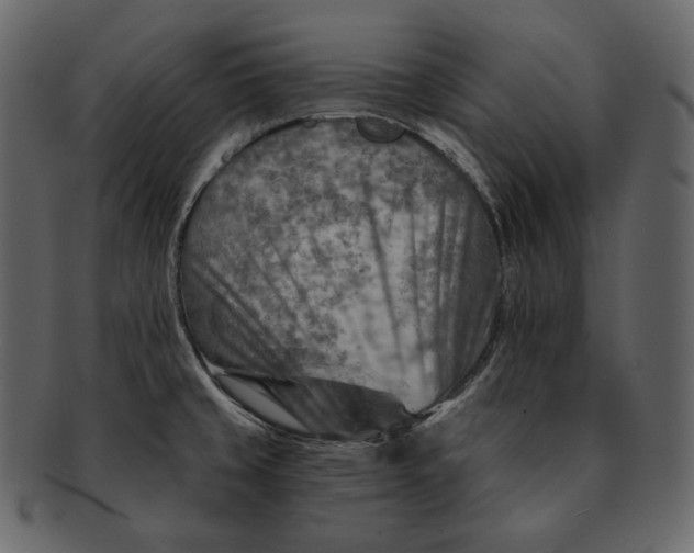 X0000092301429200710051212