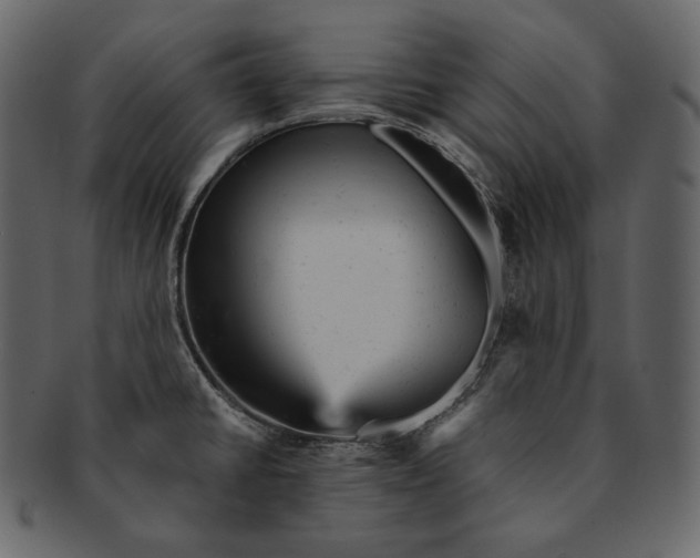 X0000092301430200710051212