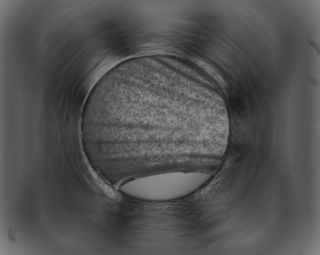 X0000092301431200710051212