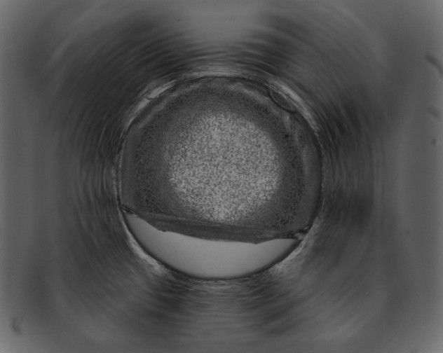 X0000092301433200710051212