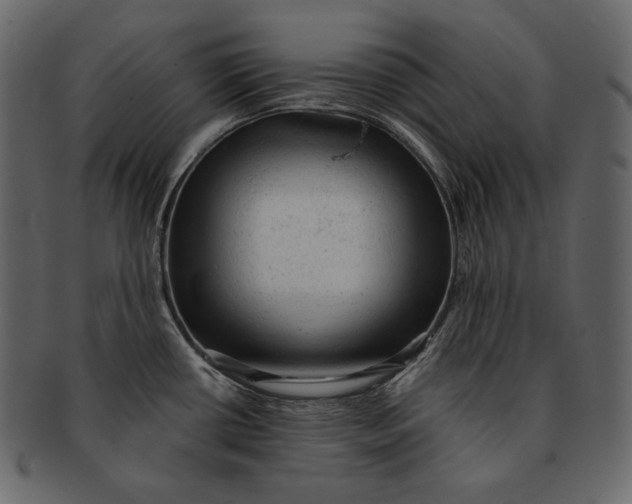 X0000092301434200710051212