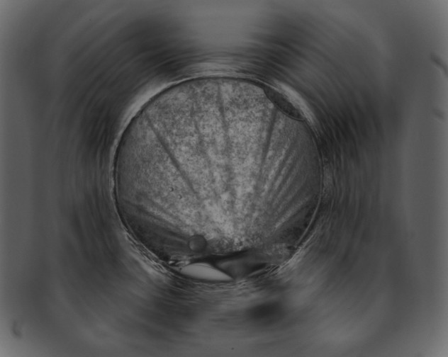 X0000092301435200710051212