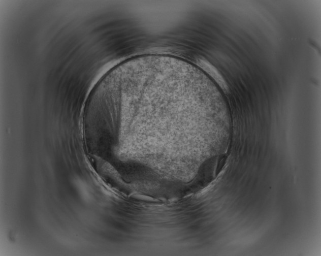 X0000092301436200710051212