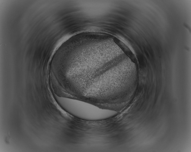 X0000092301437200710051212