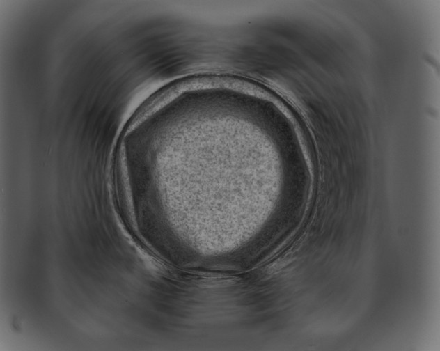 X0000092301440200710051212