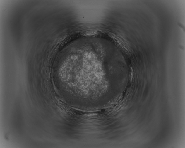 X0000092301441200710051211