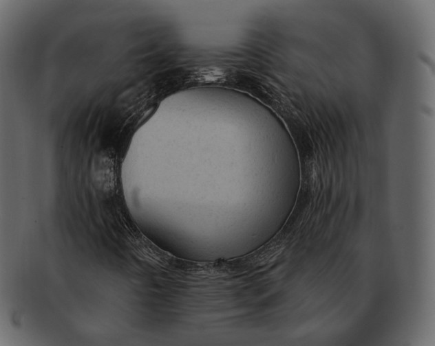 X0000092301442200710051211