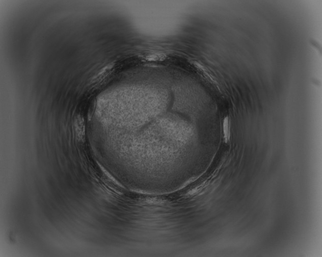 X0000092301443200710051211