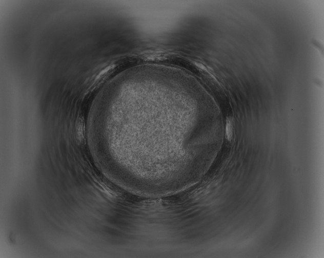 X0000092301444200710051211