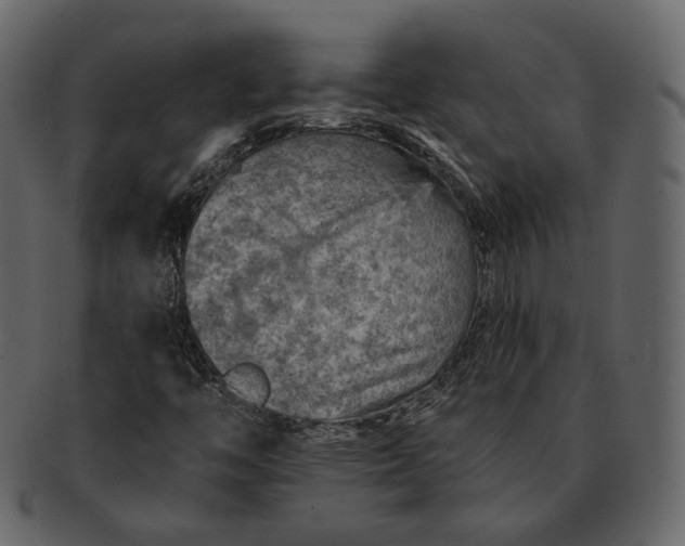 X0000092301446200710051211