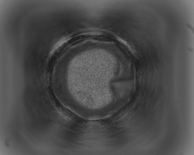 X0000092301448200710051211