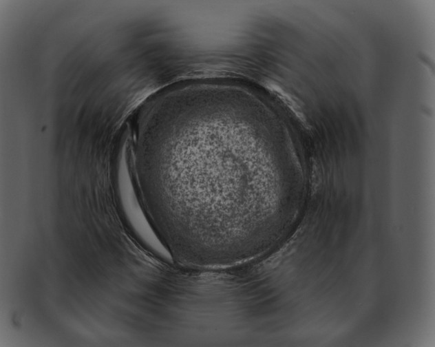 X0000092301449200710051211