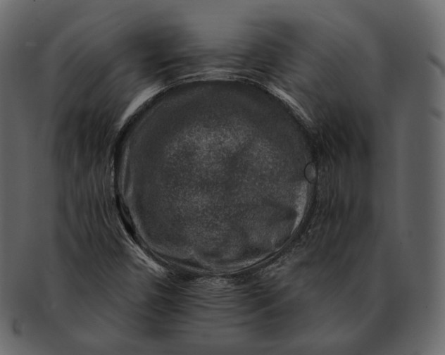 X0000092301450200710051211