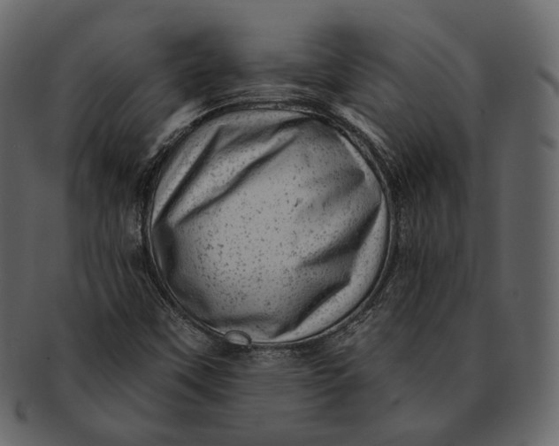 X0000092301451200710051211