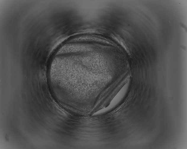 X0000092301452200710051211