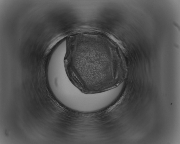 X0000092301453200710051211