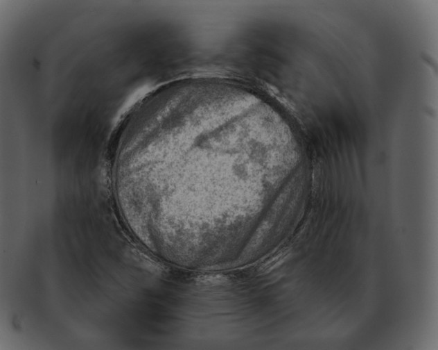 X0000092301454200710051211