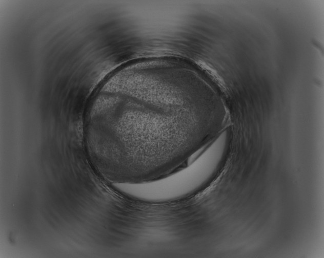 X0000092301457200710051211