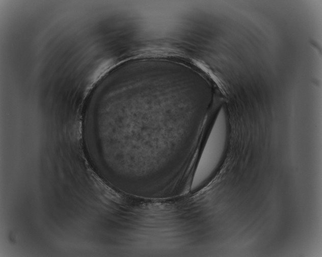 X0000092301459200710051211