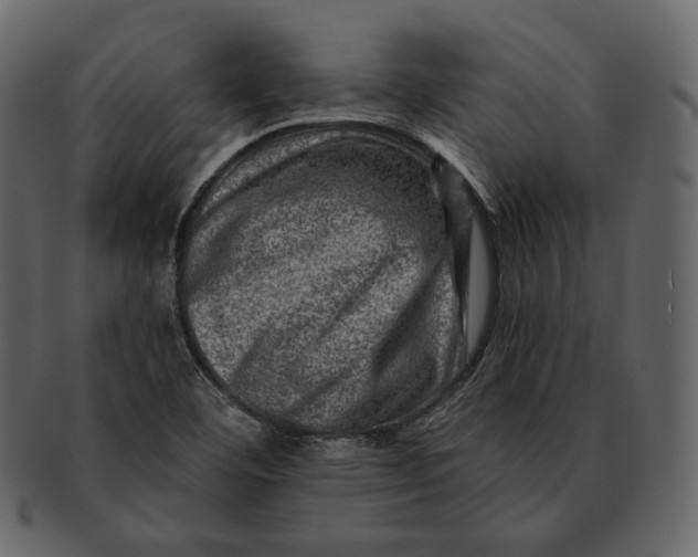 X0000092301460200710051211