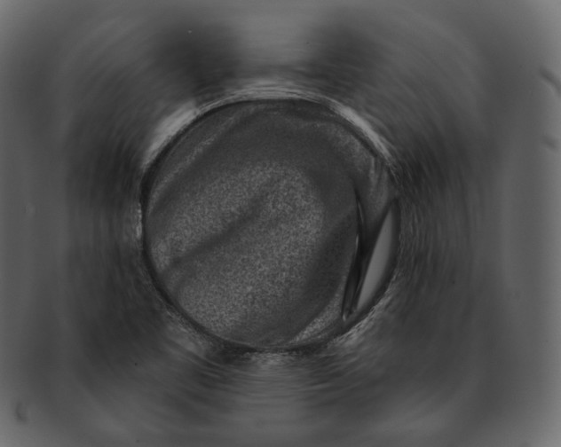 X0000092301461200710051211